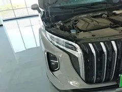 2024 Hongqi HS7 2.0T PHEV 4WD 6 — фото 13