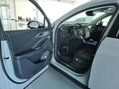2024 Hongqi HS7 2.0T PHEV 4WD 6 — фото 23