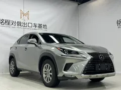 2020 Lexus NX 200 Fashion V — фото 3