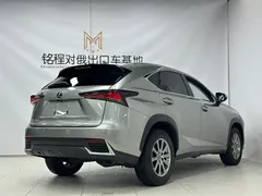 2020 Lexus NX 200 Fashion V — фото 4