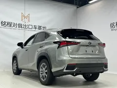 2020 Lexus NX 200 Fashion V — фото 6