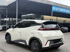 2025 BYD Seagull 305km Vitality, белый — фото 9