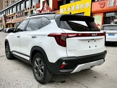2023 Kia Seltos 1.5L CVT Luxury, белый — фото 4