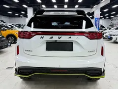 2022 Haval Chitu 1.5T, белый — фото 5