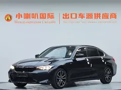 2023 BMW 3 Series 3 320Li M, чёрный — фото 1