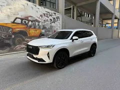 2021 Haval H6 2.0T AT 2WD Max, белый — фото 1