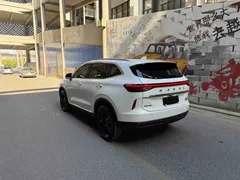 2021 Haval H6 2.0T AT 2WD Max, белый — фото 4