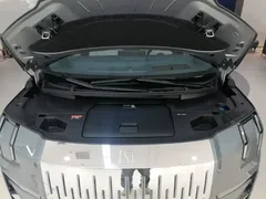 2024 Zeekr 009 6-Seat Executive 4WD 108kWh — фото 20