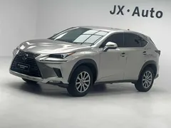 2020 Lexus NX 200 VI — фото 1