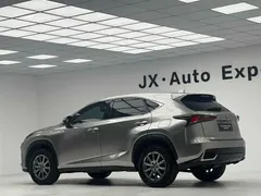 2020 Lexus NX 200 VI — фото 6