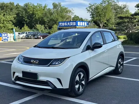 2025 BYD Dolphin 420km Freedom
