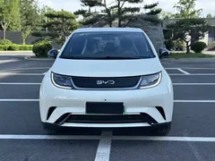 2025 BYD Dolphin 420km Freedom — фото 2