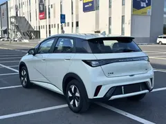 2025 BYD Dolphin 420km Freedom — фото 7
