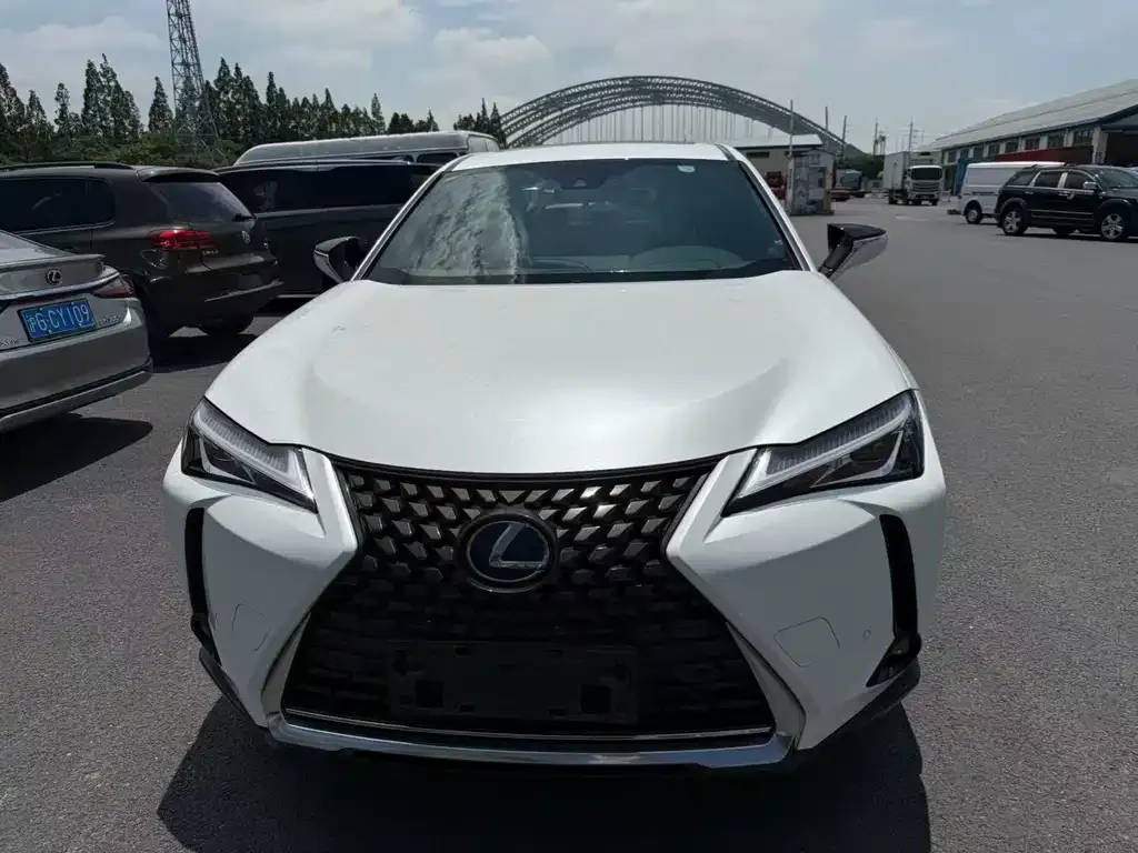 2020 Lexus UX 260h V