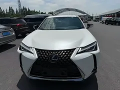 2020 Lexus UX 260h V, белый — фото 1