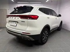 2021 Haval H6 1.5T AT, белый — фото 17