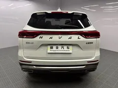 2021 Haval H6 1.5T AT, белый — фото 18