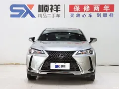 2020 Lexus UX 200 Special — фото 2