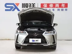 2020 Lexus UX 200 Special — фото 19