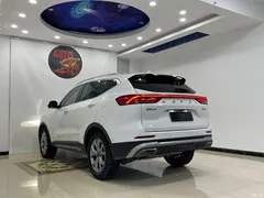 2021 Haval H6 Guochao 1.5T AT Champion, белый — фото 19