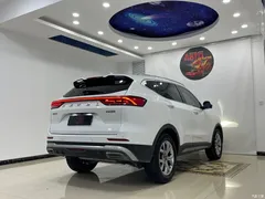 2021 Haval H6 Guochao 1.5T AT Champion, белый — фото 21