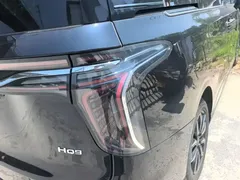 2023 Hongqi HQ9 2.0T, чёрный — фото 24