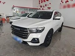 2021 Haval H6 1.5T AT Guochao Urban, белый — фото 2