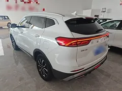 2021 Haval H6 1.5T AT Guochao Urban, белый — фото 5