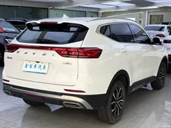 2021 Haval H6 Guochao 1.5T AT Urban, белый — фото 8