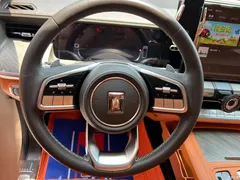 2022 Tank 500 3.0T Sport Peak Type 5 Seats — фото 28