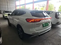 2023 Haval H6 1.5T AT Guochao Champion, белый — фото 5