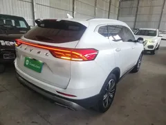 2023 Haval H6 1.5T AT Guochao Champion, белый — фото 7