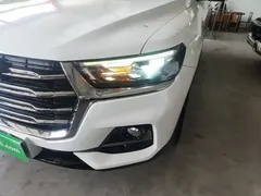 2023 Haval H6 1.5T AT Guochao Champion, белый — фото 24