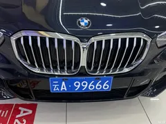 2022 BMW X5 modified xDrive 30Li M sports package — фото 10
