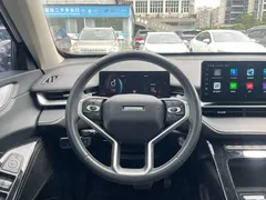 2021 Haval H6 Third Generation 2.0T AT 2WD Max, белый — фото 20