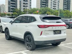 2021 Haval H6 Third Generation 2.0T AT 2WD Max, белый — фото 31