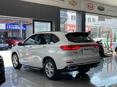 2021 Haval M6 Plus 1.5T DCT Luxury, белый — фото 14