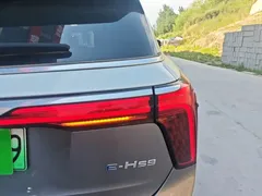 2022 Hongqi E-HS9 660km — фото 8