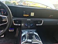 2022 Hongqi E-HS9 660km — фото 13
