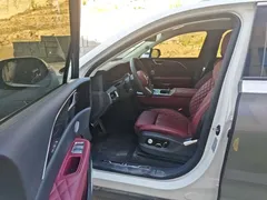 2022 Hongqi E-HS9 660km — фото 16