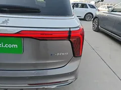 2022 Hongqi E-HS9 660km — фото 8