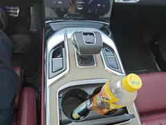 2022 Hongqi E-HS9 660km — фото 14