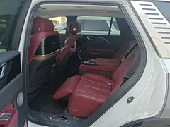 2022 Hongqi E-HS9 660km — фото 17