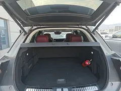 2022 Hongqi E-HS9 660km — фото 19
