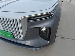 2022 Hongqi E-HS9 660km — фото 24
