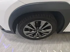 2020 Lexus UX 200 F SPORT, белый — фото 23