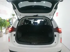 2022 Haval H6 3rd Gen 1.5T AT 2WD Max, белый — фото 15