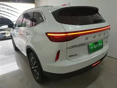 2022 Haval H6 3rd Gen 1.5T AT 2WD Max, белый — фото 23