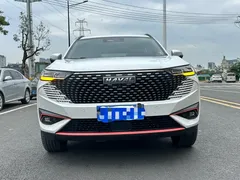 2023 Haval H6 1.5T AT Guochao Urban, белый — фото 2
