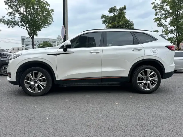 2023 Haval H6 1.5T AT Guochao Urban